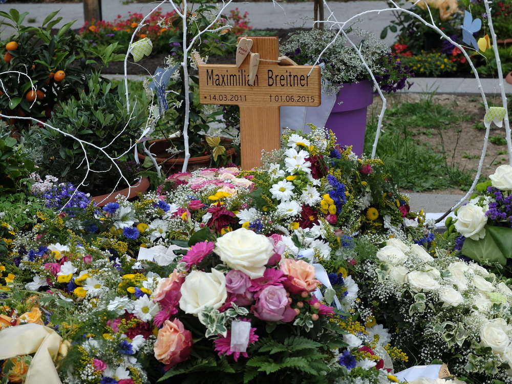 * 14.3.2011 ✝ 1.6.2015